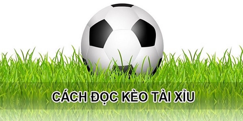 Hướng dẫn cách đọc kèo bóng đá chi tiết tại NN88 cho tân thủ 2 Xem tỷ lệ cược ở kèo tài xỉu dễ hiểu